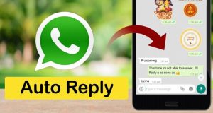 How to Enable Auto Reply to WhatsApp Messages