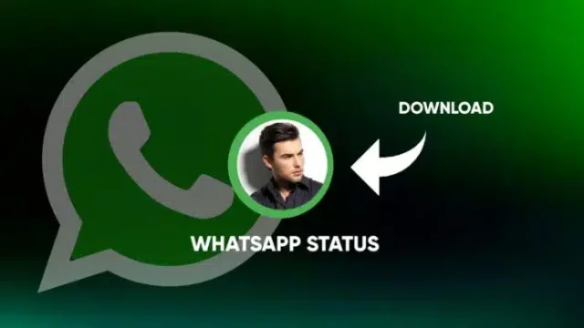 How to Download the WhatsApp Status