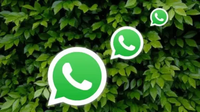 chat without opening WhatsApp