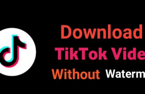 How to download without watermark TikTok video