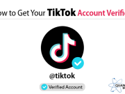 How to verified the TikTok account?