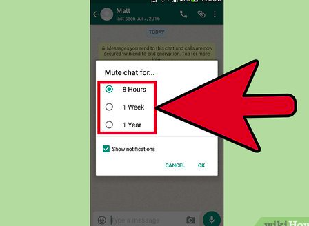 : Mastering the Art of Muting and Unmuting Conversations on WhatsApp